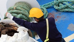 San Diego Maritime Worker Injury Lawyer