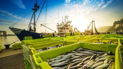 Commercial Fisherman Accident Lawyer